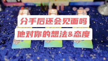 【赞恩塔罗】🔮分手后你们还会见面吗？下次重逢会是怎样的场景？你们又会是怎样的心情？🔮|评论留言，心想事成|🦋占卜|疗愈|祝福|best wishes🌷