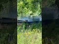 M20CW Pacific Theater Reenactment. 2023.