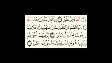سورة فاطر ٢٩الى٣١ #سورةالكوثر #اكسبلور #المصحف #سورةالفاتحة #سورةالاخلاص #الرحمن #تيك_توك #ترند