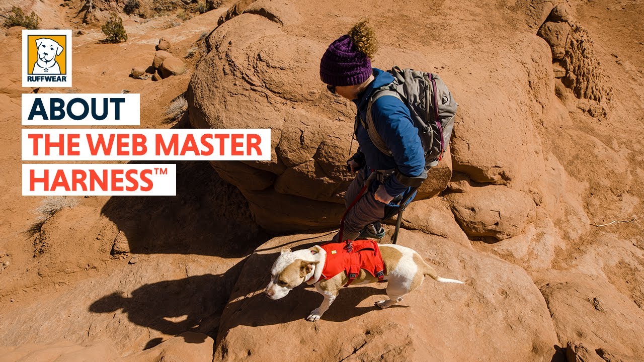 webmaster pro harness