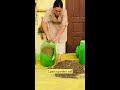 Soil mix recipe for monsoon vegetables and houseplants