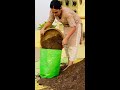 Soil mix recipe for monsoon vegetables and houseplants