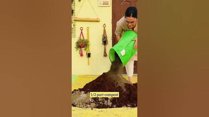 Soil mix recipe for monsoon vegetables and houseplants