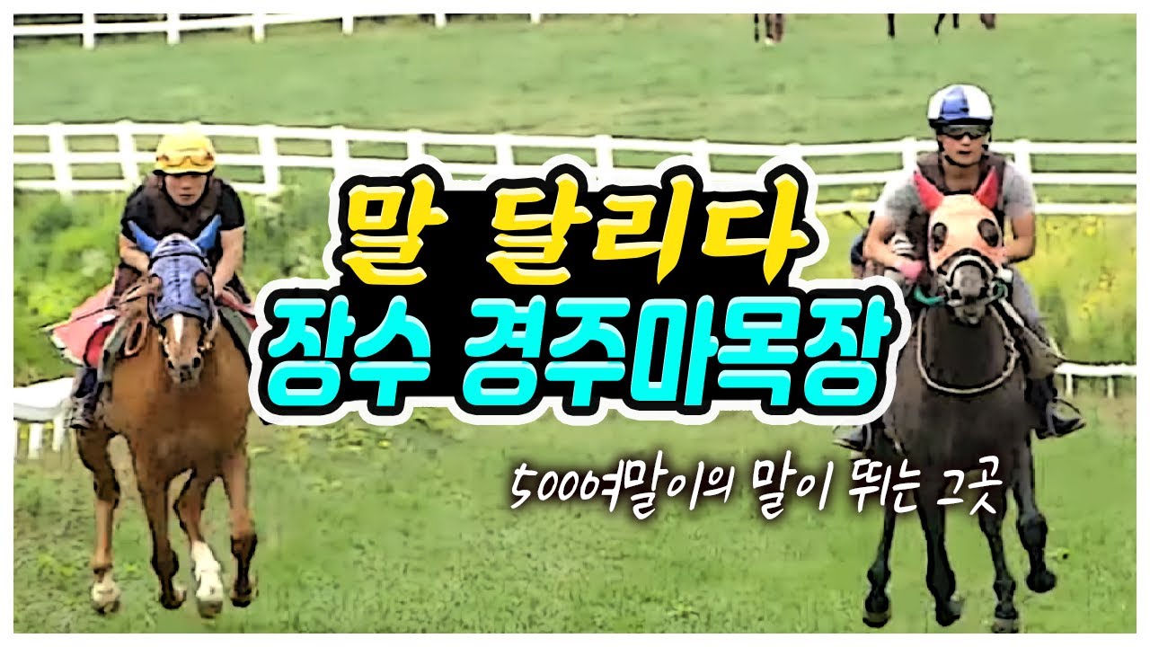 말 달리다 장수 경주마목장 / 한 마리의 말이 경주마가 되는 과정 / 하루에 4번 식사하는 경주마 / 말들의 낙원 / 500여말이의 말이 뛰는 그곳 / [그곳,그사람]