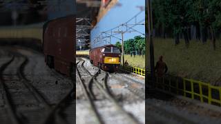 #dapol Class 52 Western D 1029 with local rail tour hauling #bachmann MK1 Coaches.