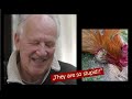 Werner Herzog - The Overwhelming Stupidity of Chickens!