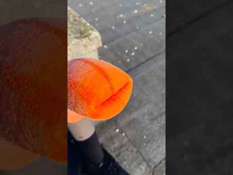 8 numaralı kutu😂💩 #icecream #cake #chocobar #chocolate #food #shortsvideo