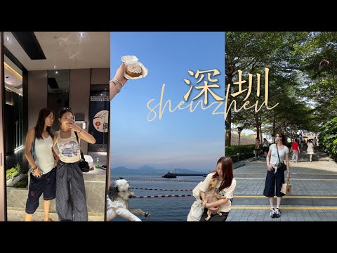 SHENZHEN VLOG｜探班新晋牛马😅｜女明星🐶初体验｜椰子鸡🥥狂炫｜蛇口看海🌊｜按摩续命💆‍♀️