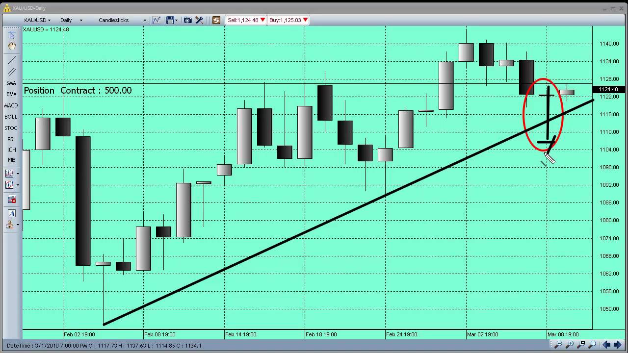 3 9 2010 Forex Gold Market Forecast