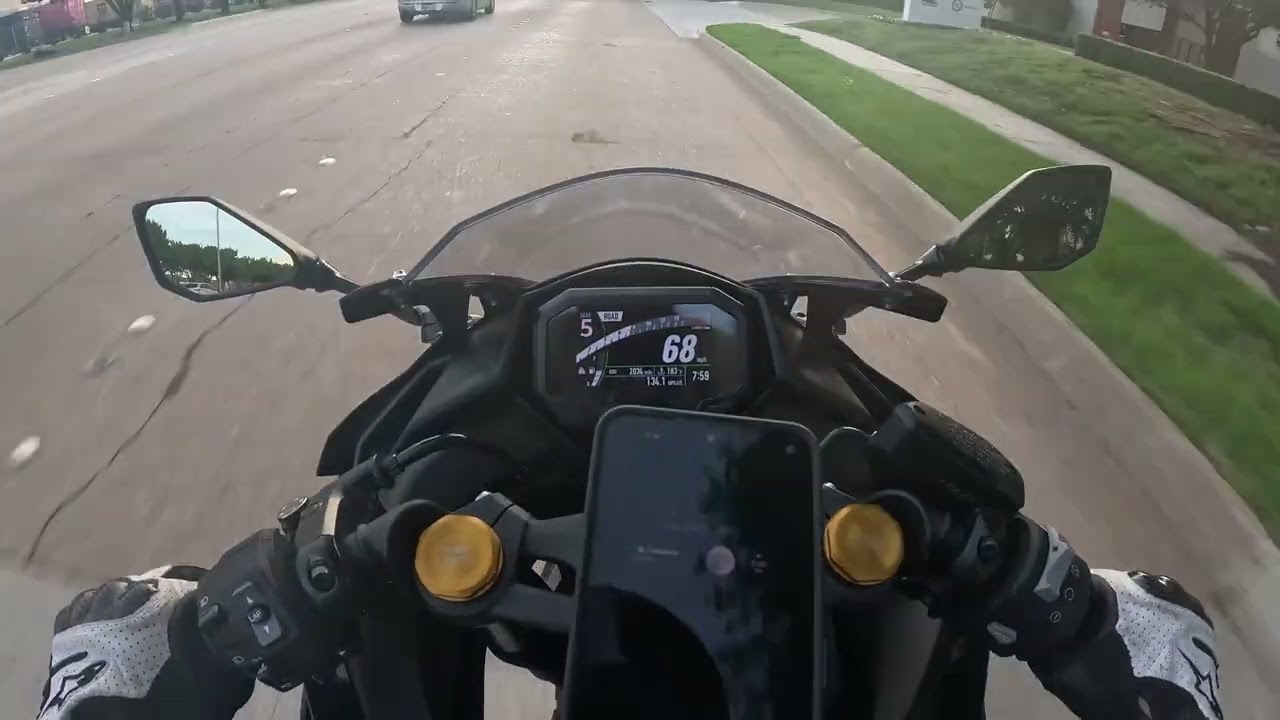 ❁リリ❁ ⋆⭒˚.⋆🌷. ݁₊ ⊹ ݁🦋⋆.˚