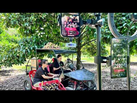 HÀNH TRÌNH ĐƯA NÔNG SẢN LÊN SÀN TMĐT
