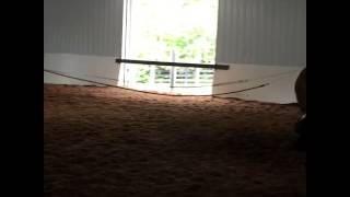 IMG 7543