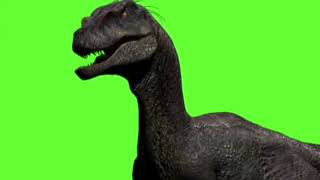Yeşil Ekranda Dinazor Animasyonu Green Screen Dinazor Dinosaur Walks Dinosaurs 3D Green Screen