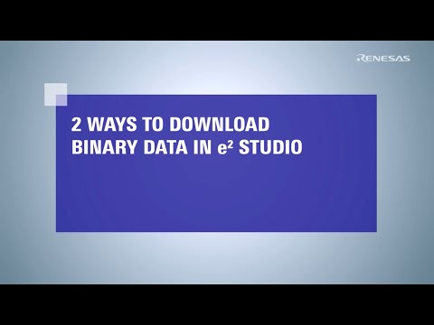 e² studio Tips - 2 Ways to Download Binary Data