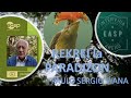 INTERVJUA ARENO (IA): PAULO SERGIO VIANA - Rekrei la Paradizon
