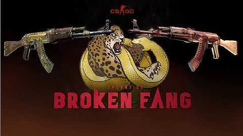 CS:GO Operation Broken Fang Collection Trade Up