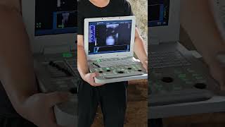 Veterinary color doppler Diagnostic System