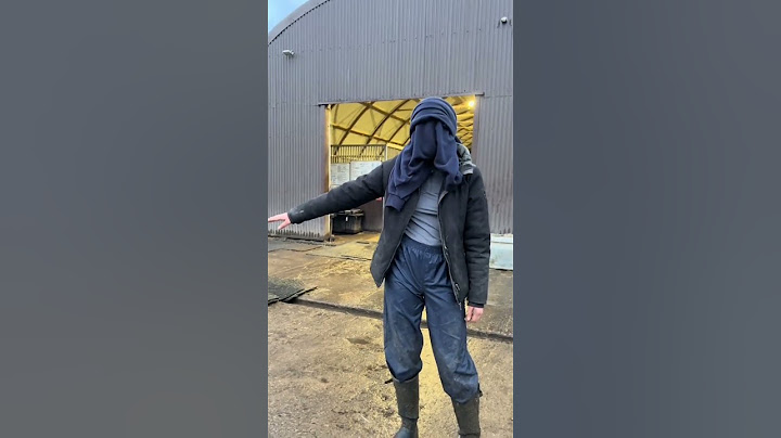 guess the horse blindfolded … part 2 #fyp #equestrian #horse #pony #horses #ponies #equine