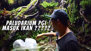 IKAN APA YA YANG JADI PENGHUNI PERTAMA DI PALUDARIUM PUSAT GADAI INDONESIA ????
