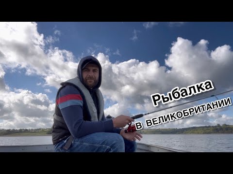 Видео: Морская форель в Великобритании?