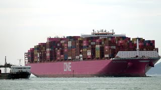 Container Ship《ONE FRUITION》Crossing the Tsing Ma Bridge in HK  20251024