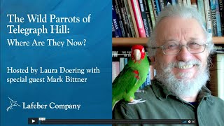 The Wild Parrots of Telegraph Hill: Where Are They Now?