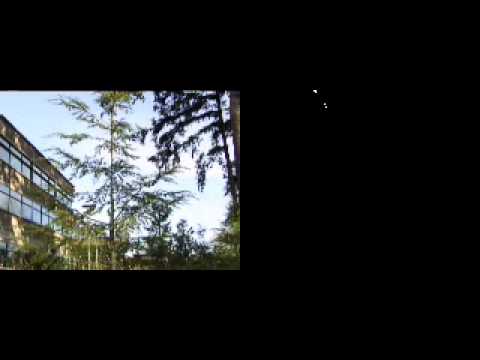 foreground segmentation - demo1