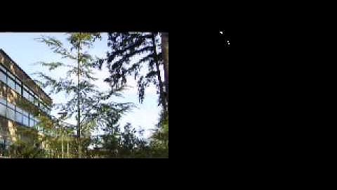 foreground segmentation - demo1