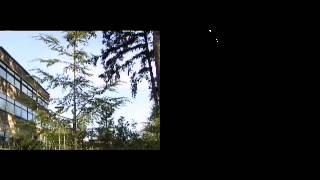 Famous foreground segmentation - demo1 Net Worth