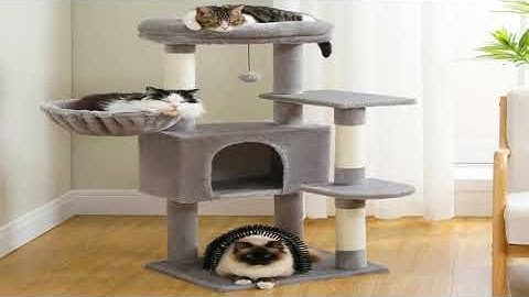Buy Cat Tree with Toy Cat Tower condo for Indoor Cats Cat House with Padded Plush Perch Cozy H