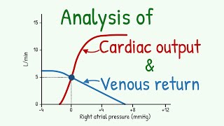 Analysis of Cardiac Output Curve and Venous Return Curves