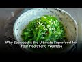Why Seaweed is the Ultimate Superfood for Your Health and Wellness
