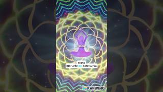 Atragi Ceea Ce Ești, Nu Ceea Ce Vrei.