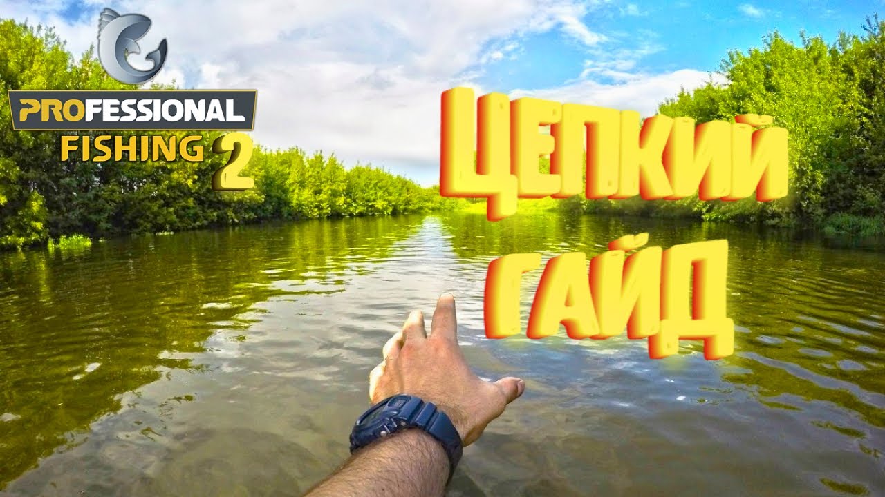 ОТЛИЧНОЕ РЫБОЛОВСТВО | PF2 DEMO | ГАЙД | #Professionalfishing2demo.
