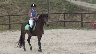 CSO 25-06-17 Tifanny et Bentley