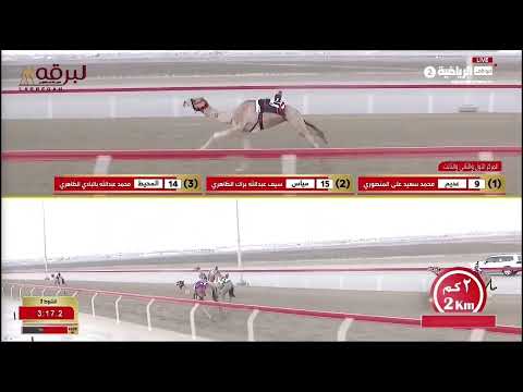 ش3 وهاج ل أحمد سلطان بالرشيد السويدي الوثبة الأسبوع الأول 14 09 2025ص جذاع قعدان محليات 6 11 50