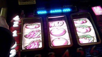 The Big Easy ....210