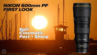 NIKKOR Z 600mm f/6.3 VR S PF First LOOK - OUTSTANDING - Images & Video | Matt Irwin