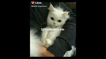 что означают скобки в сообщениях