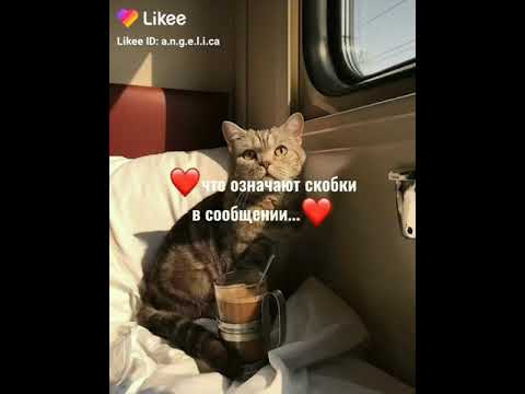 что означают скобки