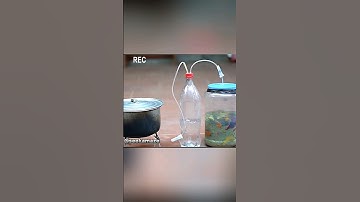 simple bio gas made from rotten fruits.