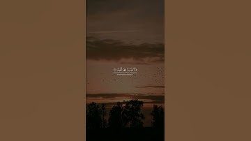 عمر بن ضياء الدين - سورة فاطر | وقالوا الحمدلله الذي اذهب عنا الحزن #قران #عمر_بن_ضياء_الدين #تلاوه