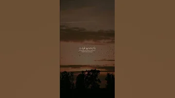 عمر بن ضياء الدين سورة فاطر وقالوا الحمدلله الذي اذهب عنا الحزن قران عمر بن ضياء الدين تلاوه 