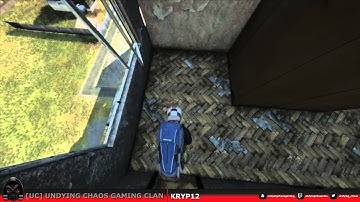 DayZ Ladder Bug