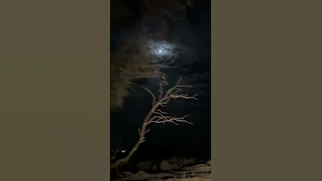 تكفون ياللي تشوفونه ابي شوفه 