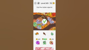 Braindom Game Level 305