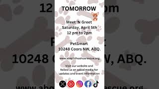Meet N Greet ABQ NM