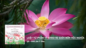Q5 - Giới Xin Y Dày 