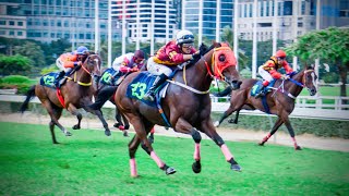 KOR TOD KUB wins! - 15/09/2024 - Race 10 - Thoroughbred Division 2 screenshot 1