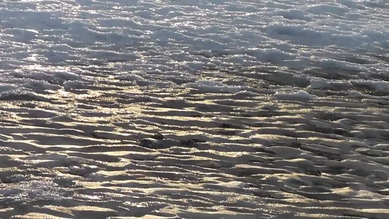 Panasonic HDC-SDX1 Video Quality HD Test